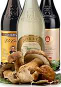 Speciale Funghi