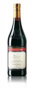 Barbera d.o.c. 2009 Piemonte 