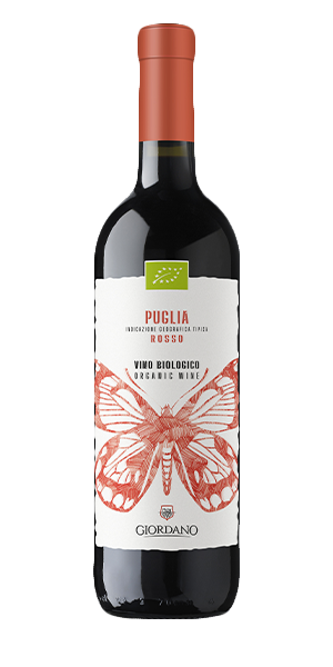 ROSSO PUGLIA IGT BIOLOGICO | Vini rossi | Giordano Vini