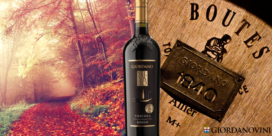 I lavori in cantina tra i colori d'Autunno I lavori in cantina tra i colori d'Autunno