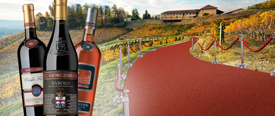 Cannes, Vino e Cinema sfilano sulla Croisette!