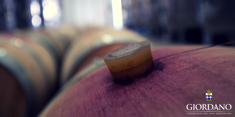 I mestieri del vino: il cantiniere I mestieri del vino: il cantiniere