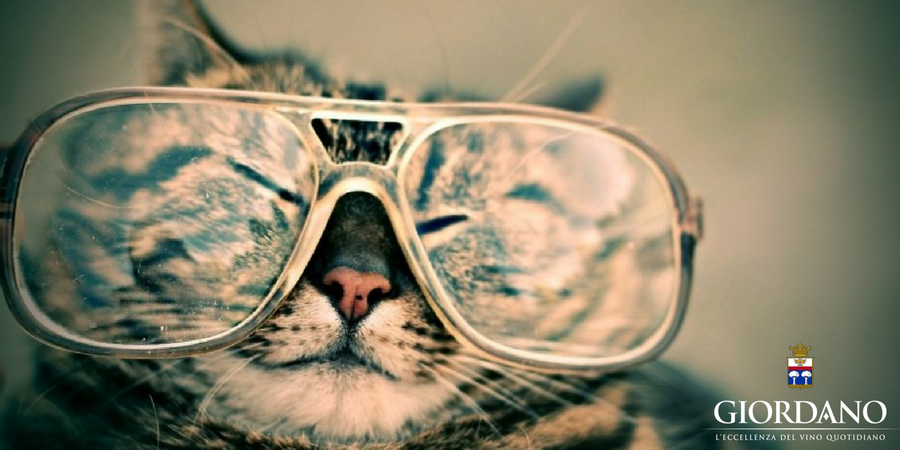 Primavera da leggere, da vedere, da ascoltare... e da bere! Primavera da leggere, da vedere, da ascoltare... e da bere!