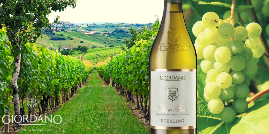5 cose che (forse) non sai sul Riesling 5 cose che (forse) non sai sul Riesling