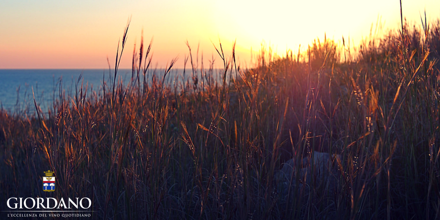 5 cose che (forse) non sai sulla Puglia 5 cose che (forse) non sai sulla Puglia