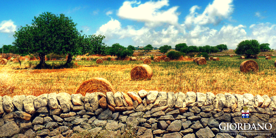 5 cose che (forse) non sai sulla Sicilia 5 cose che (forse) non sai sulla Sicilia