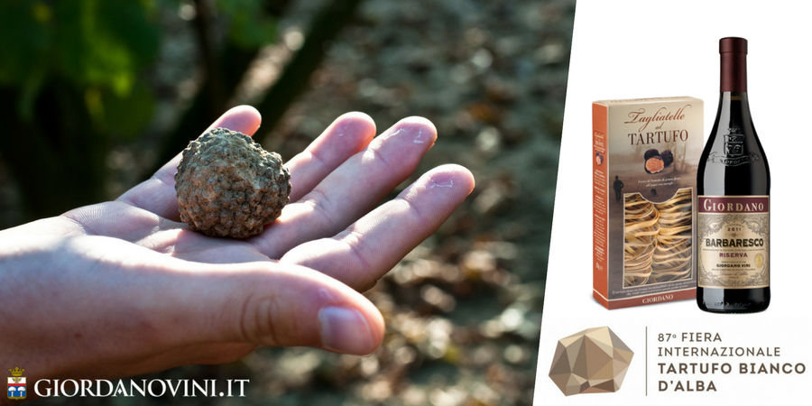 Fiera Internazionale del Tartufo Bianco d'Alba, l'oro di Langa torna protagonista Fiera Internazionale del Tartufo Bianco d'Alba, l'oro di Langa torna protagonista