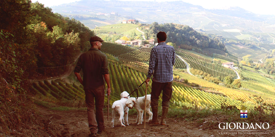 Save the truffle, una storia d’amore per il Piemonte