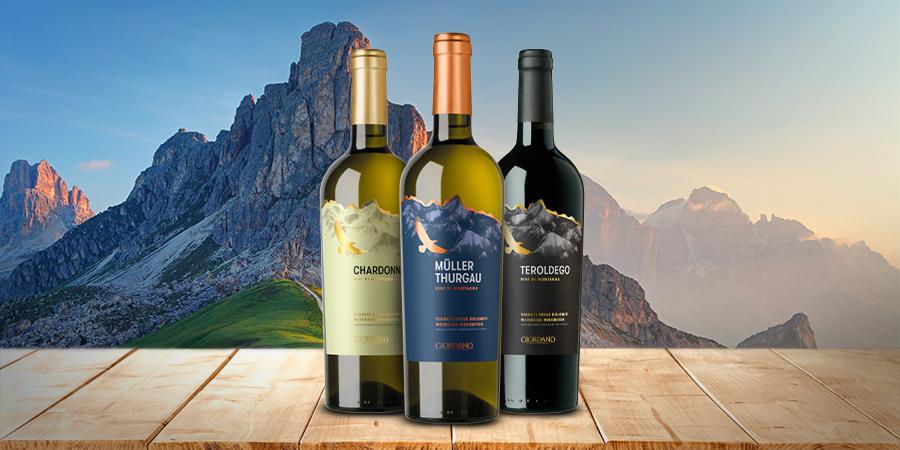 Un viaggio tra i vini pregiati del Trentino Un viaggio tra i vini pregiati del Trentino