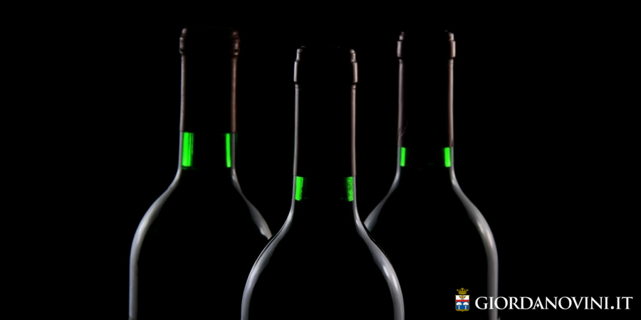 Doc Who? Breve guida alle denominazioni del vino Doc Who? Breve guida alle denominazioni del vino