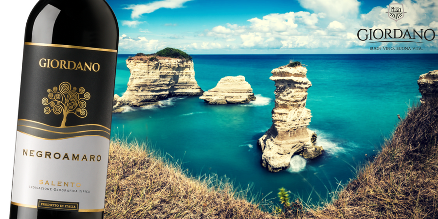 5 cose che (forse) non sai sul Negroamaro 5 cose che (forse) non sai sul Negroamaro