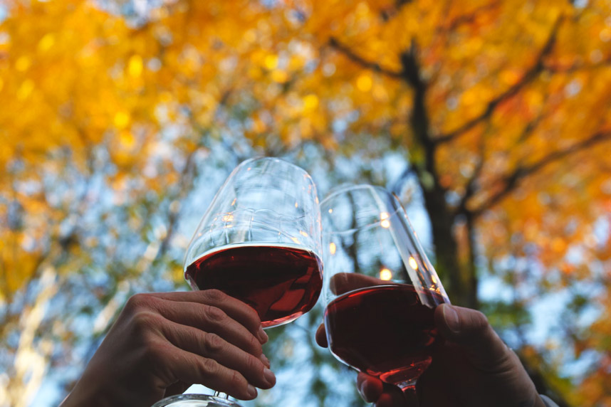 Ritornano i rossi: 3 ricette che profumano d'autunno Ritornano i rossi: 3 ricette che profumano d'autunno
