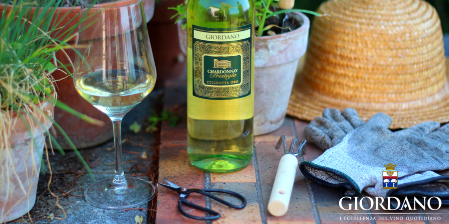 Tutti pazzi per lo Chardonnay Tutti pazzi per lo Chardonnay
