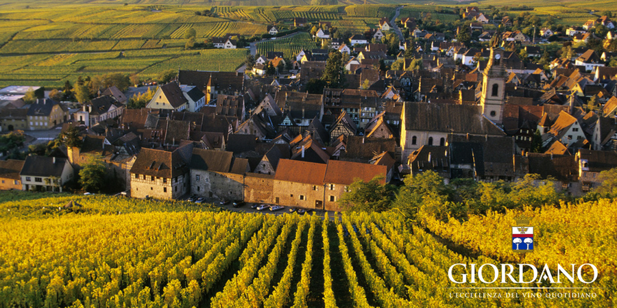 Francia, la vie en Blanc!