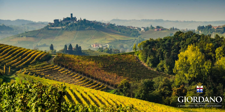 Italia, un viaggio nel cuore del pianeta Vino
