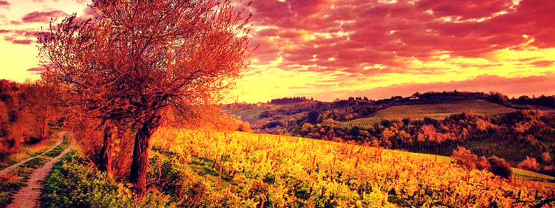 Le Strade del Vino in autunno raggiungono la Toscana