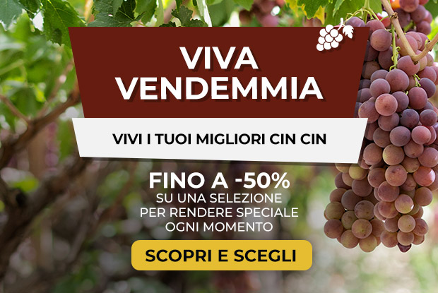 Vendemmia