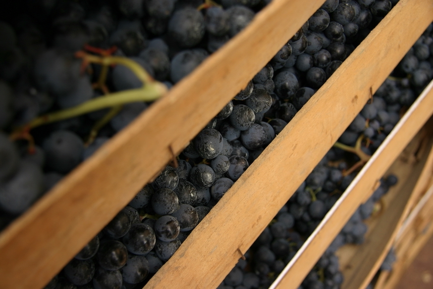 amarone valpolicella produzione