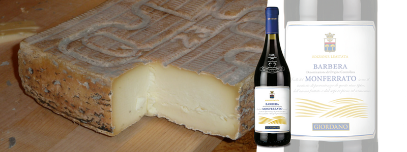 Barbera Monferrato DOC 2015 UNESCO Giordano Vini, speciale con formaggi a pasta morbida