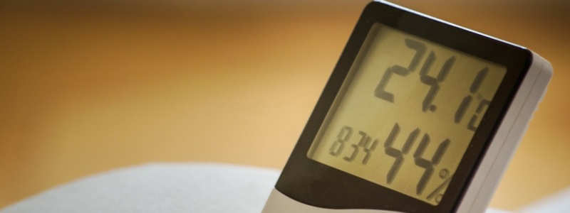 Come conservare il vino: temperatura e umidit controllate