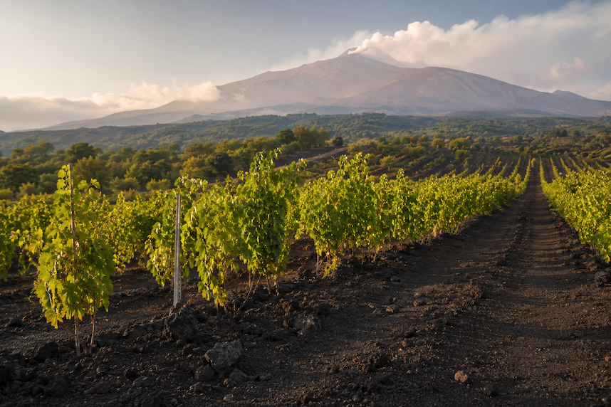 etna rosso vino siciliano etna rosso vino siciliano