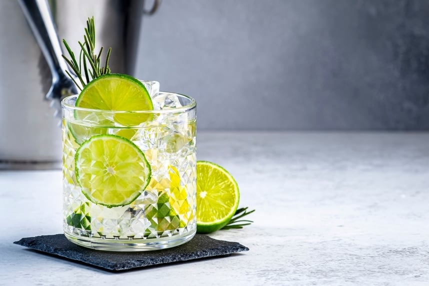 gin da scegliere per cocktail a base di gin