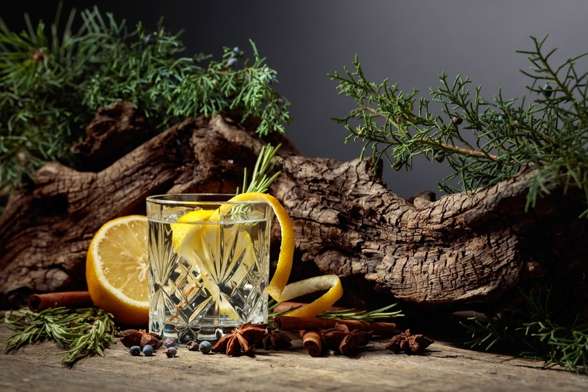 gin storia ed evoluzione