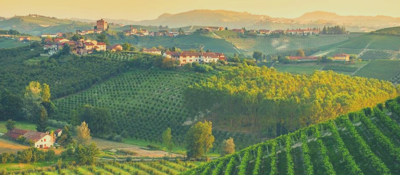 Le Langhe, cornice della bellissima citt di Alba