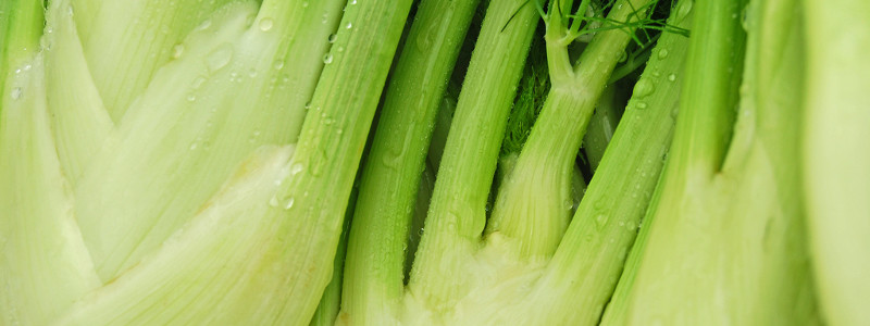 Insalata di finocchi, arance e pistacchi