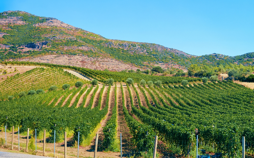 isola dei nuraghi igt zona di produzione terroir e caratteristiche