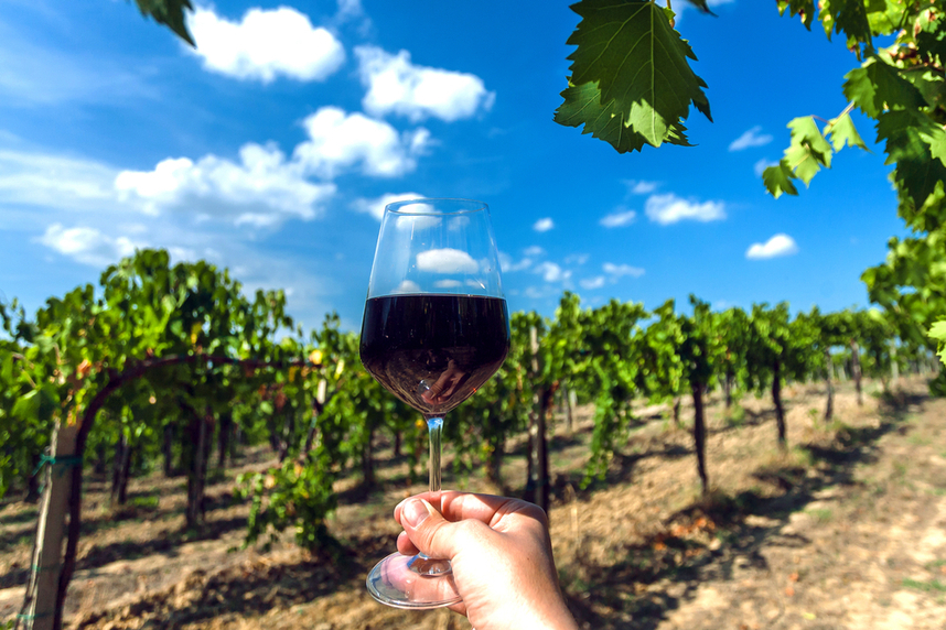 malbec vino rosso argentino caratteristiche e abbinamenti