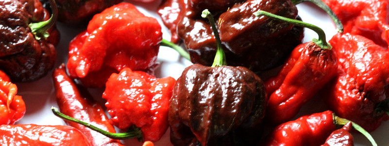 Hot as Hell: i peperoncini più piccanti al mondo