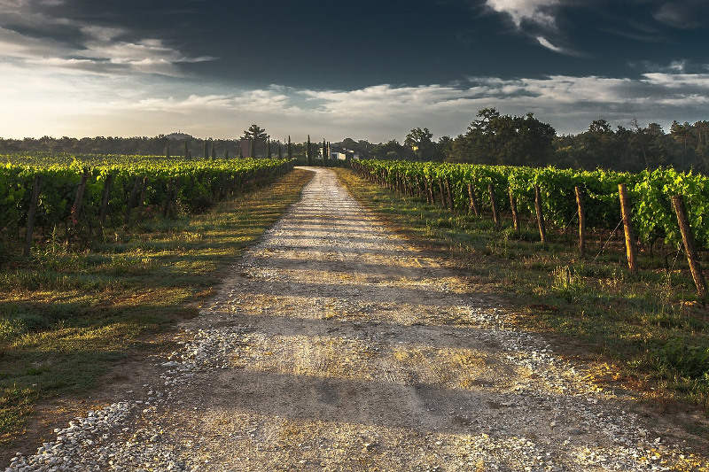 Giordano Vini affronta il cambiamento nel mondo del vino: da bottega accanto alla cantina a ecommerc