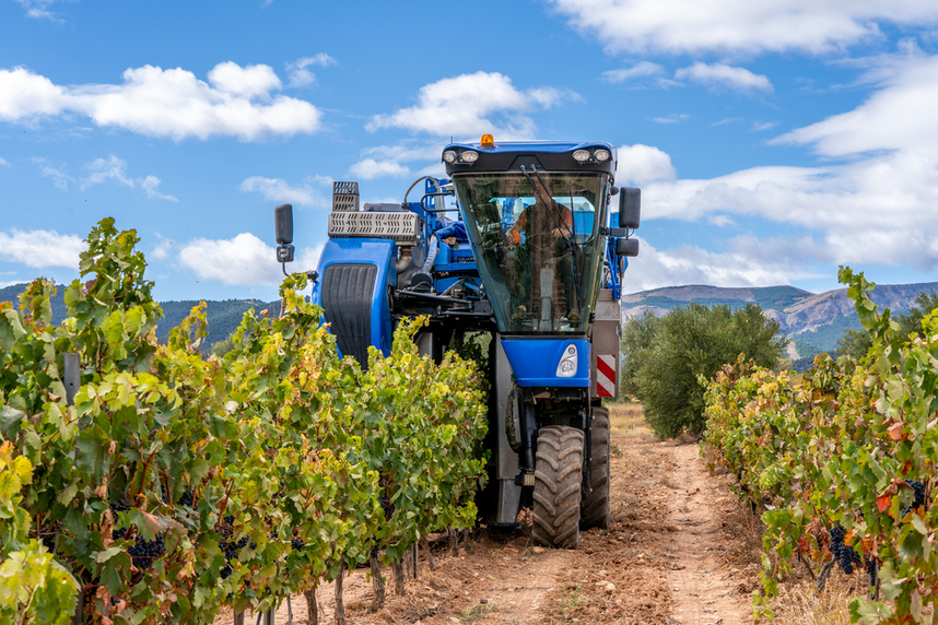 vendemmia meccanica dei vini