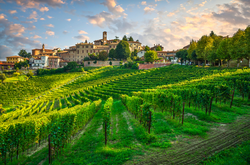 vini barbera denominazioni caratteristiche e abbinamenti