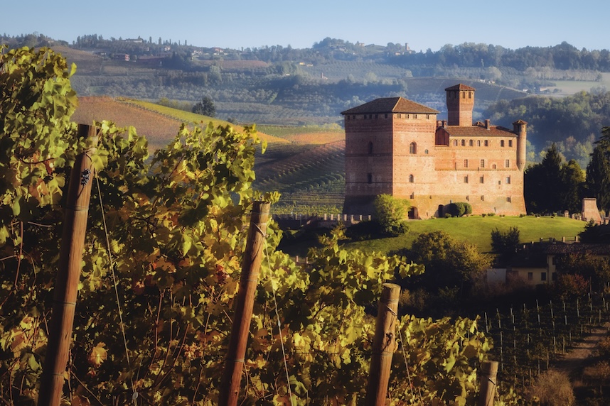 vini bianchi piemontesi zone di produzione vini bianchi piemontesi zone di produzione
