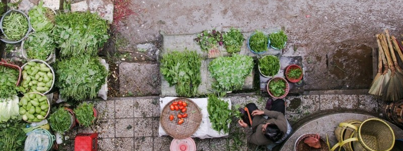 Le verdure, alimento principe della dieta contadina