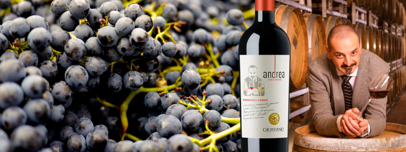 Fruttati ed espressivi: così sono i vini che portano la mia firma, dice Andrea, Wine Maker Giorfano