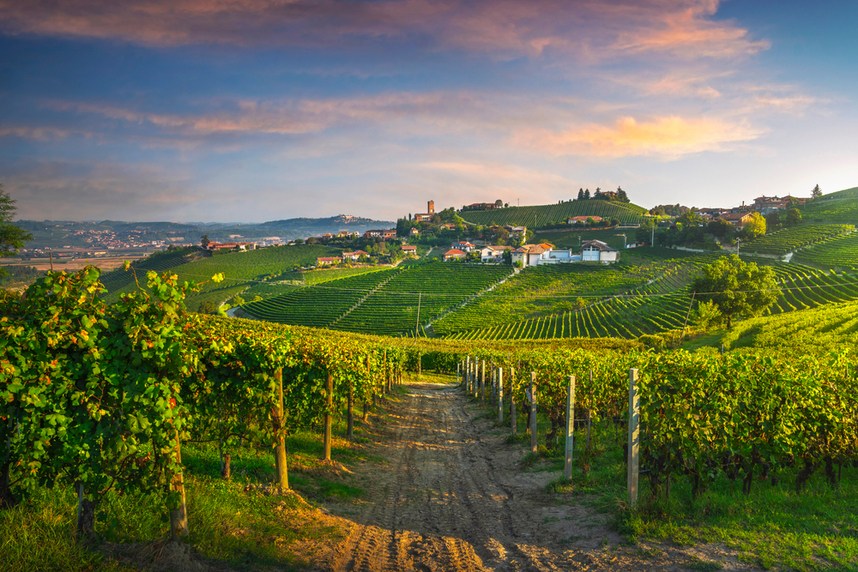 zona di produzione del vino dolcetto langhe