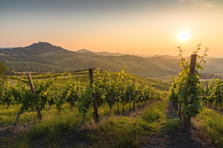 zone di produzione e caratteristiche dei vini rossi e bianchi lombardi